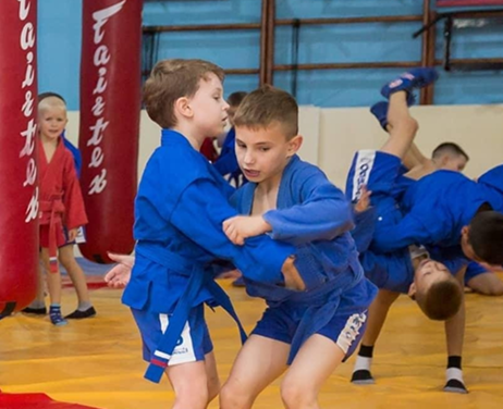 Спортивное самбо